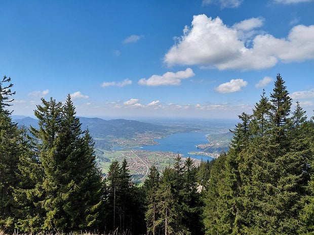 Samsung Galaxy A36 sample photo