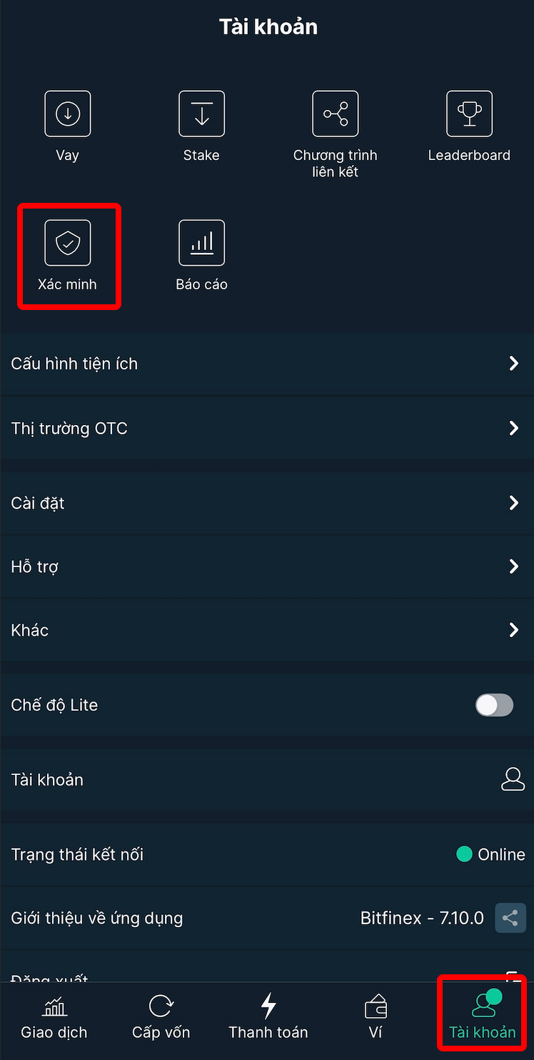 mẹo kyc ơn giản cho người dùng việt trên bitfinex 12 1747938090 303 meo kyc on gian cho nguoi dung viet tren