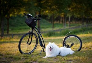 free AI tools for small businesses