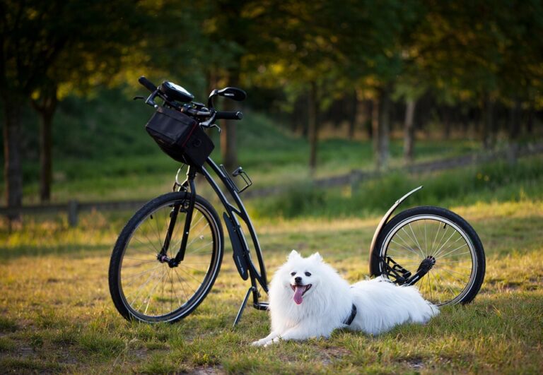 free AI tools for small businesses