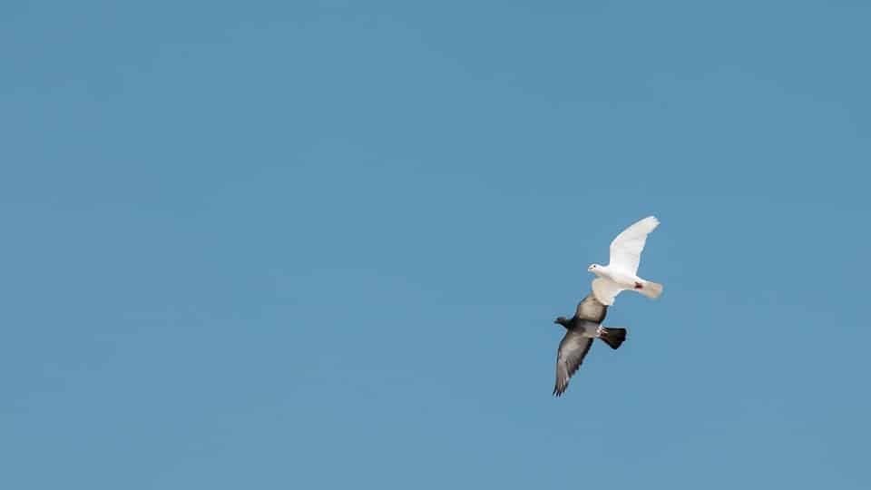 binance crypto regulations in egypt 1 binance crypto regulations in egypt