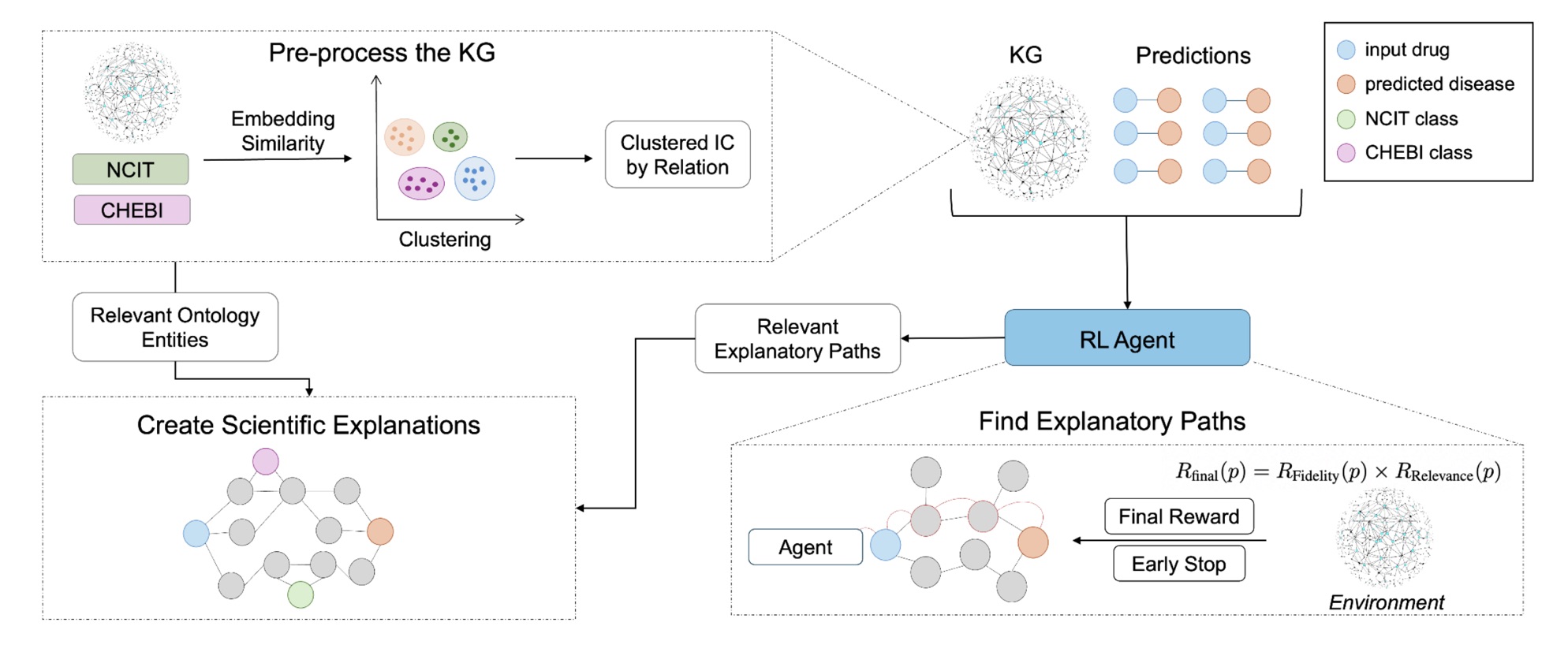 Rewarding explainability in drug repurposing with knowledge graphs 2 1762693967 888 Rewarding explainability in drug repurposing with knowledge graphs