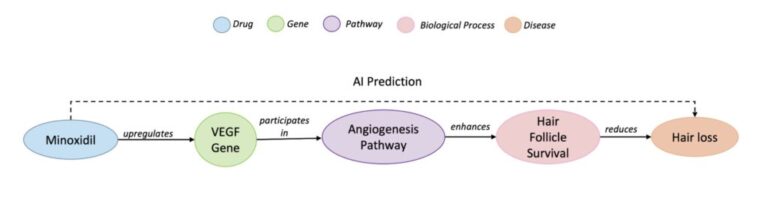 Rewarding explainability in drug repurposing with knowledge graphs 7 Rewarding explainability in drug repurposing with knowledge graphs