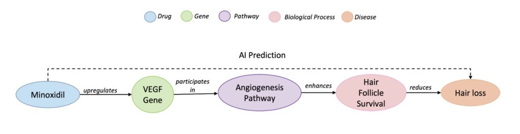 Rewarding explainability in drug repurposing with knowledge graphs 1 Rewarding explainability in drug repurposing with knowledge graphs