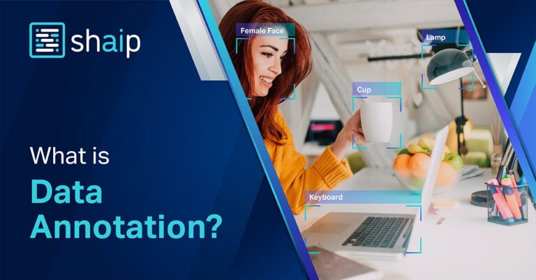 A Basic to Advanced Guide for 2025 4 Data annotation