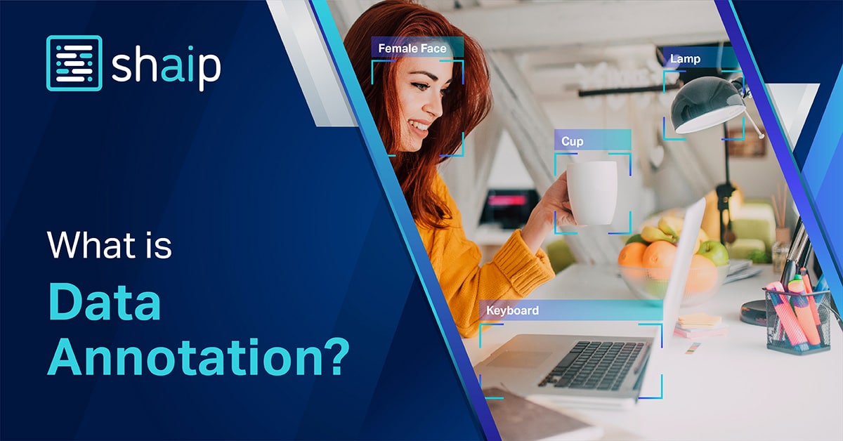 A Basic to Advanced Guide for 2025 2 Data annotation