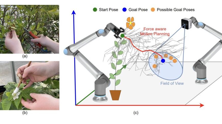 A multi-armed robot for assisting with agricultural tasks