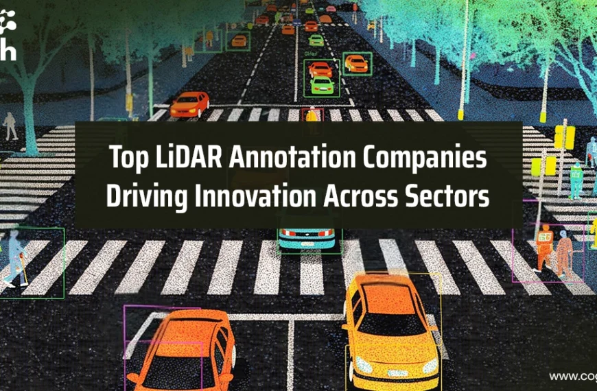 Top LiDAR Annotation Companies for AI & 3D Point Cloud Data