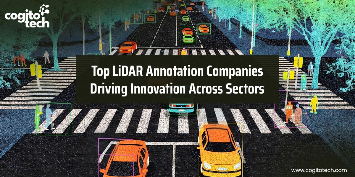 Top LiDAR Annotation Companies for AI & 3D Point Cloud Data