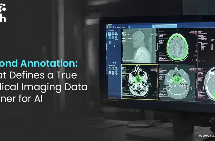 Medical Imaging Data Annotation for AI: Choosing the Right Partner